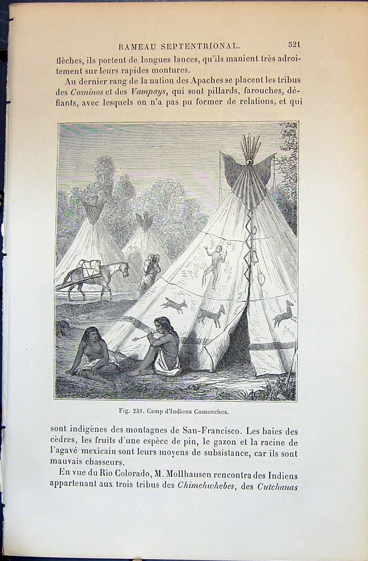 Old Camp D'Indiens Comanches Indians 1880 Human Races Humaines Figuie Victorian