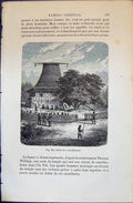 Old Scene De Cannibalism Natives People 1880 Human Races Humaines Fig Victorian
