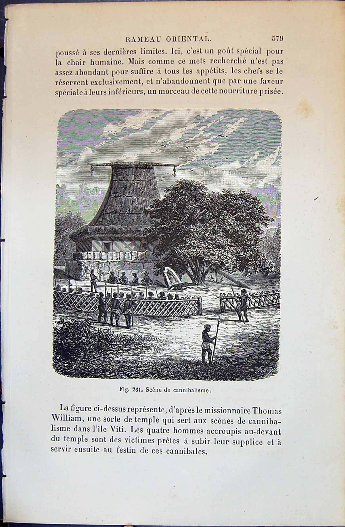 Old Scene De Cannibalism Natives People 1880 Human Races Humaines Fig Victorian