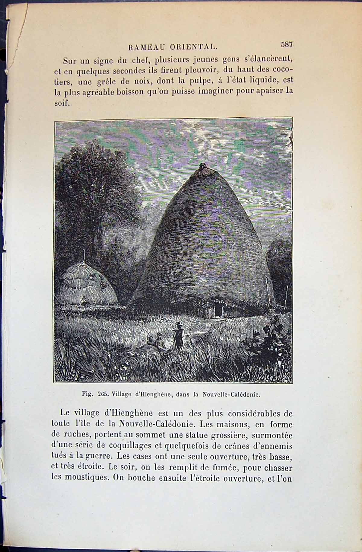 Old Village D'Hienghene Dans Nouvelle-Caledonie 1880 Human Races Huma Victorian