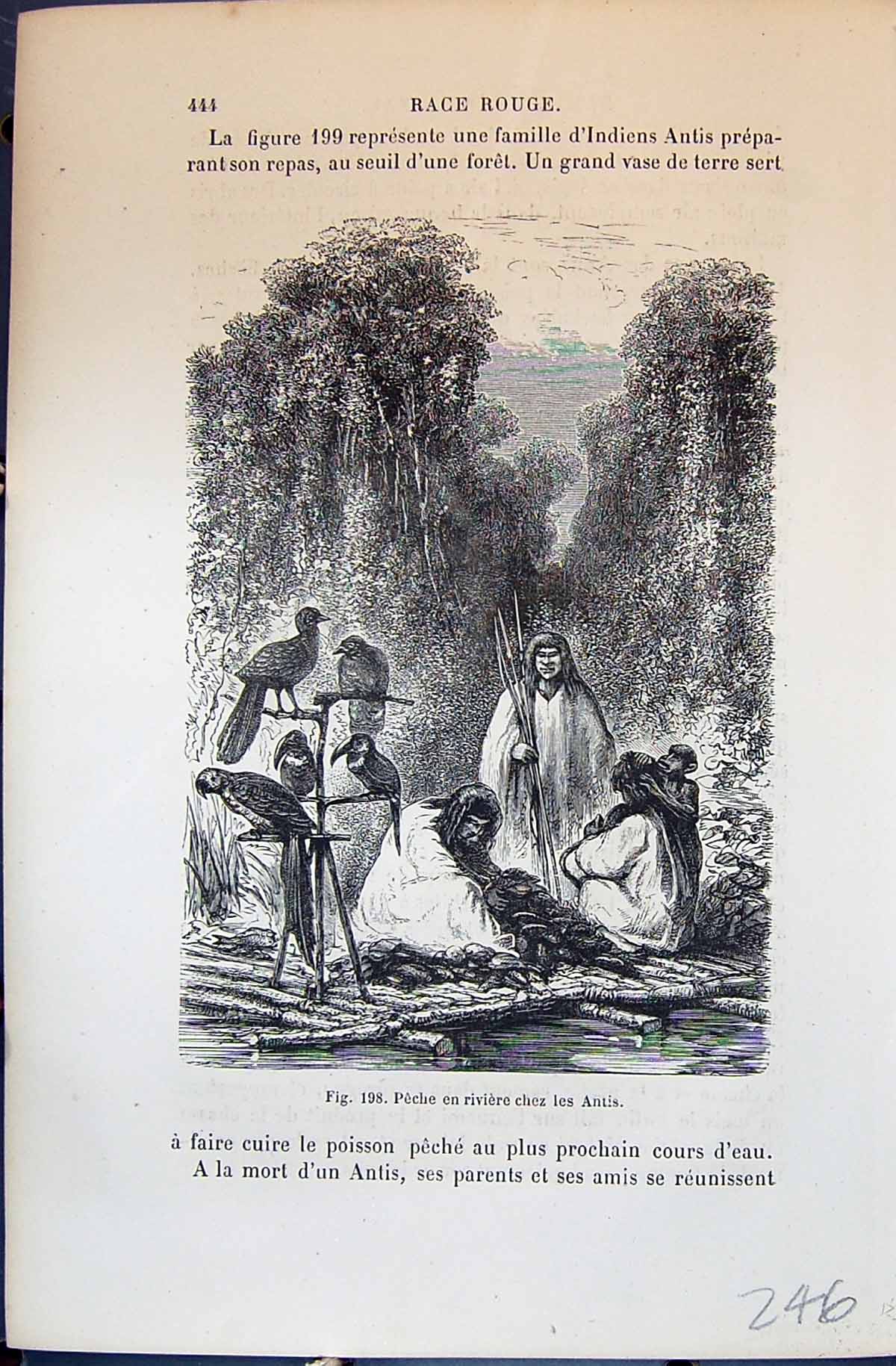 Old Peche Riviere Chez Antis Indien Indian Man 1880 Human Races Humai 19th