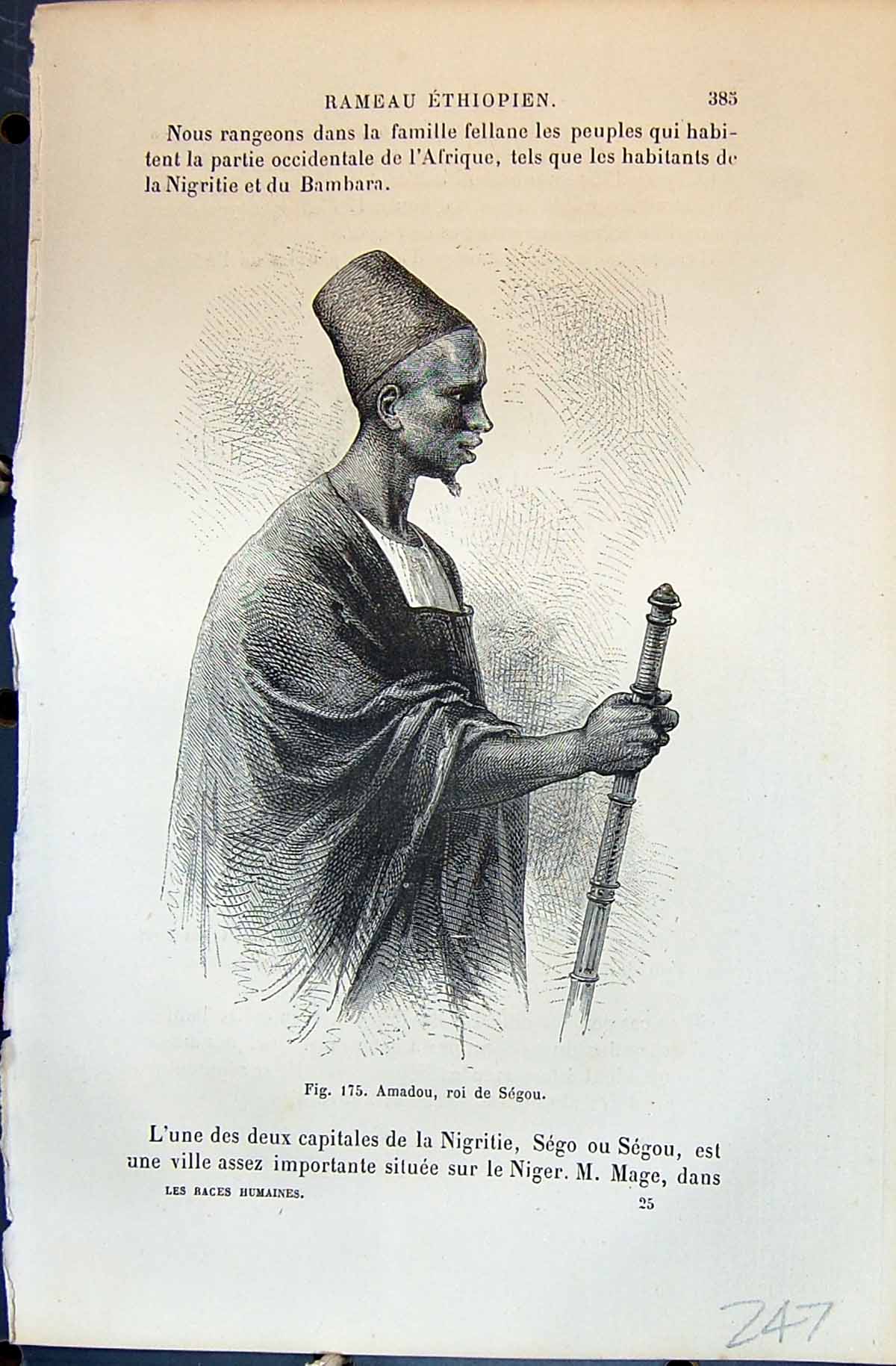 Old Amadou Roi De Segou Jeuen Fille Fellane Lady 1880 Human Races Hum 19th