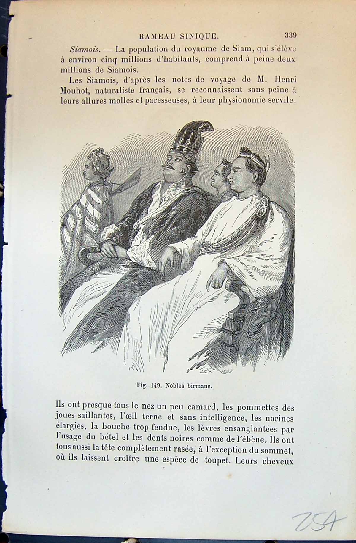 Old Nobles Birmans Jeune Dame Birmane Lady Man 1880 Human Races Humai 19th