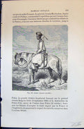 Old Armee Chinoise Cavalier Muraille Chine Pekin 1880 Human Races Hum 19th
