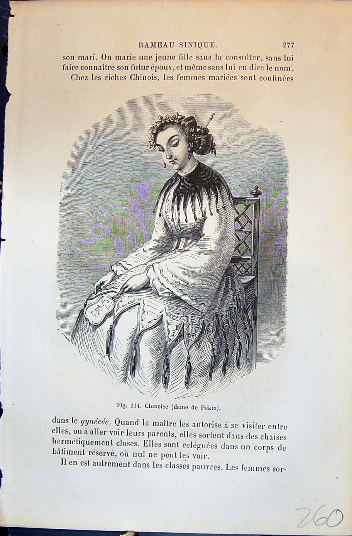 Old Chinoise Dame Pekin China Lady Jeunne Lady 1880 Human Races Humai 19th