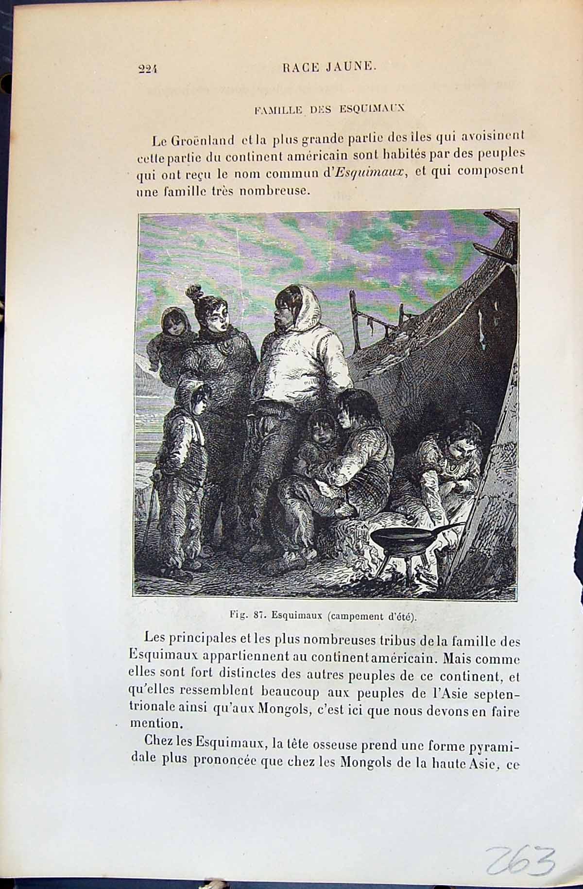 Old Esquimaux Campement Samoyedes People 1880 Human Races Humaines Fi 19th