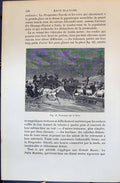 Old 1880 Human Races Humaines Figuier Traineaux Sur Neva Horses Trans Victorian