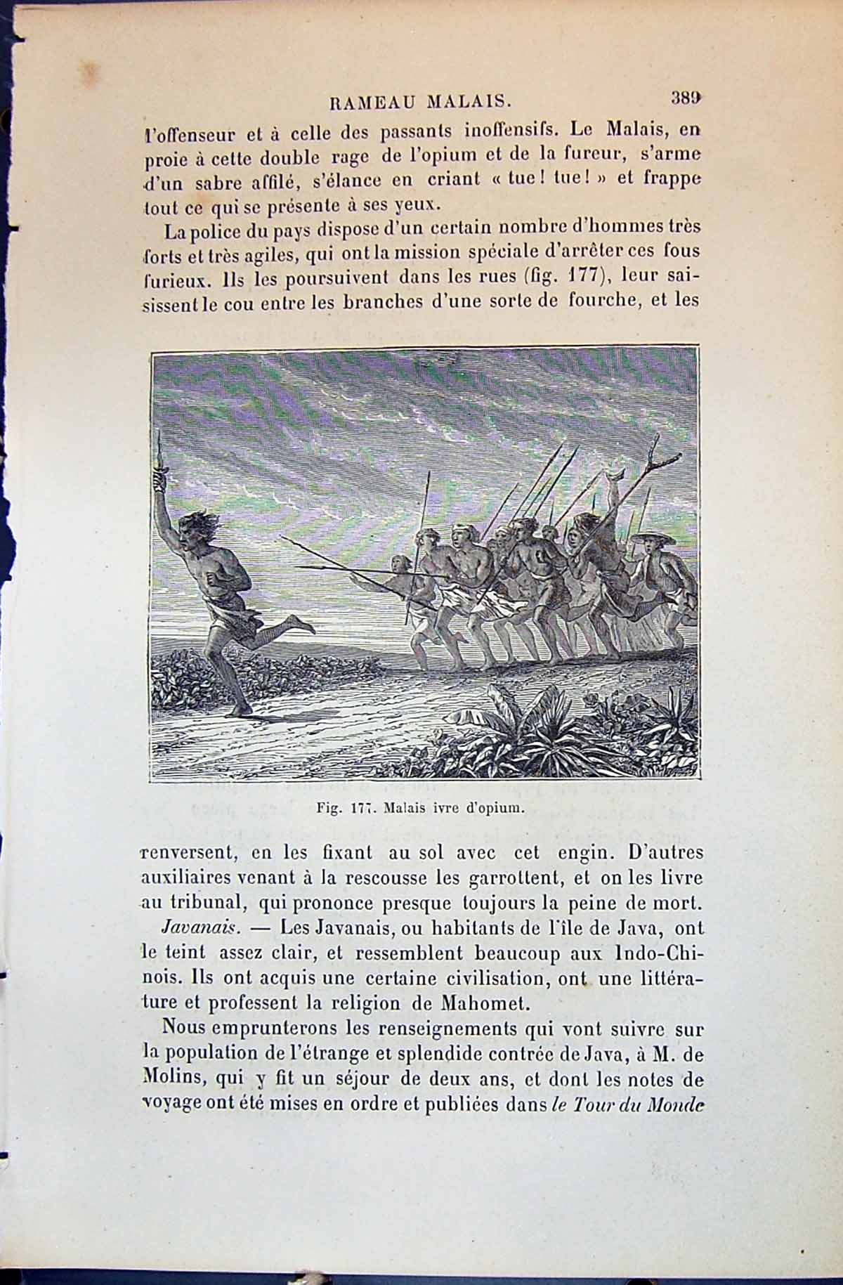Old Print Malais Ivre D'Opium Warriors 1880 Human Races Humaines Figuier 19th