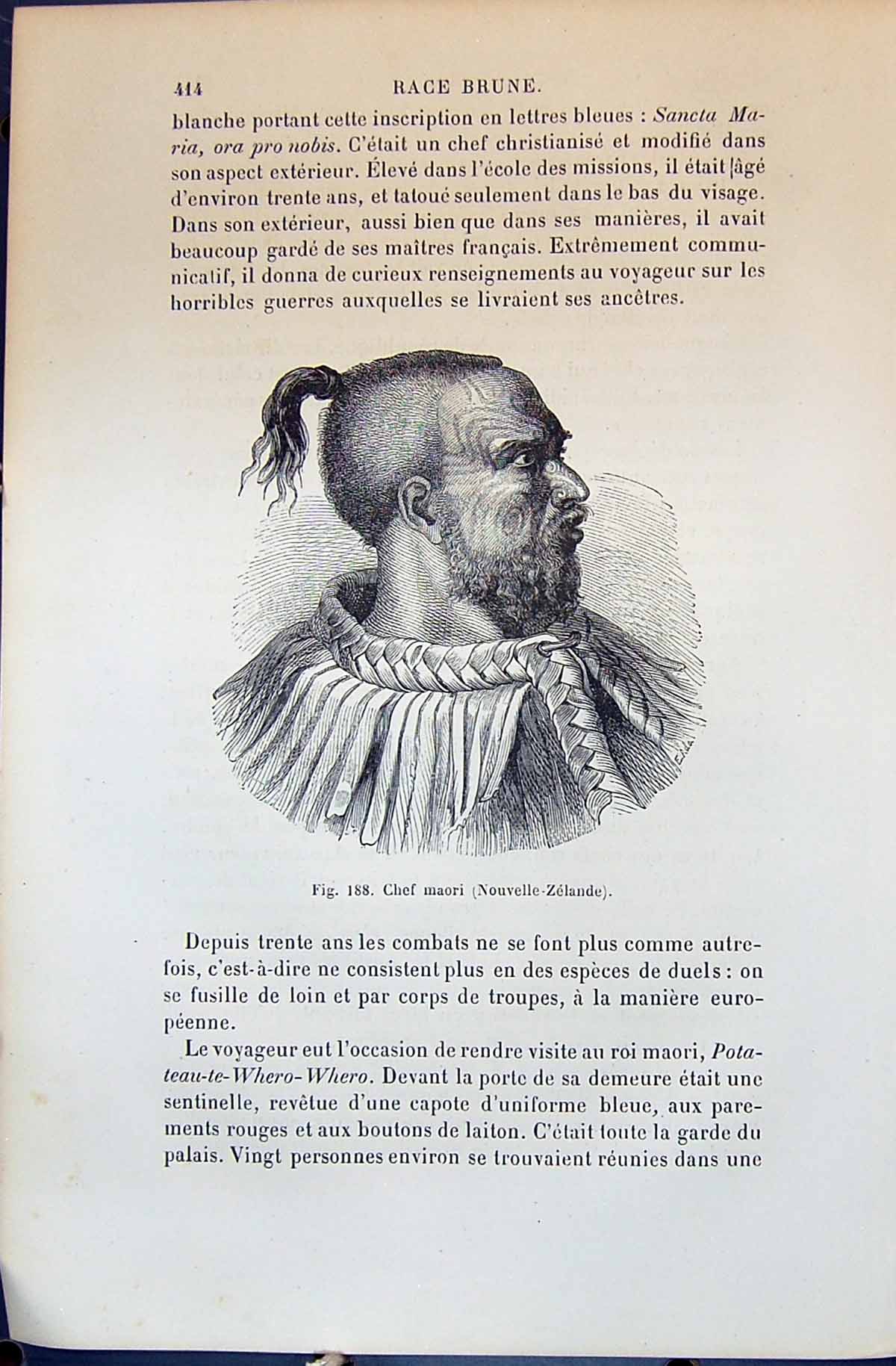 Old Chef Maori Nouvelle Zelande New Zealand 1880 Human Races Humaines Victorian
