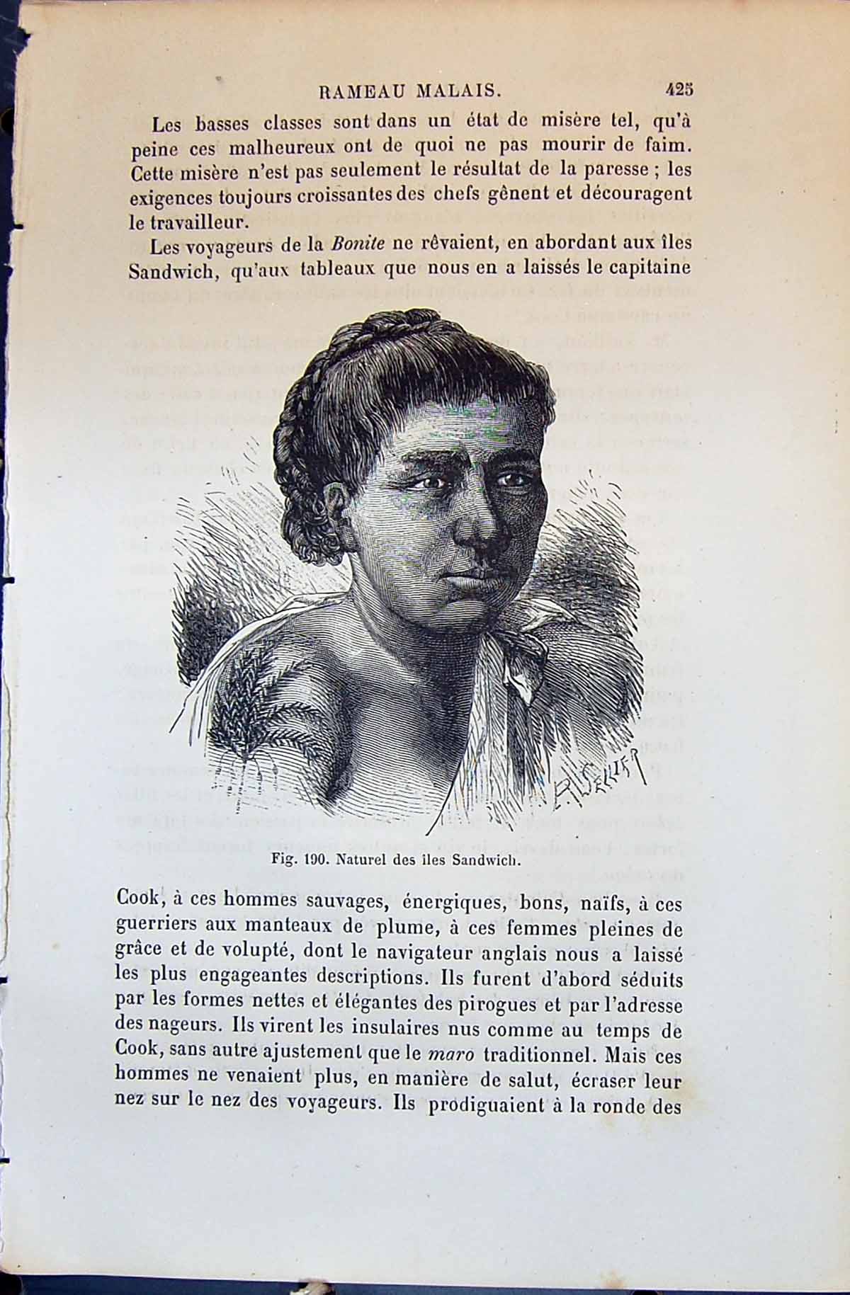 Old 1880 Human Races Humaines Figuier Natureal Des Island Sandwich Wo Victorian