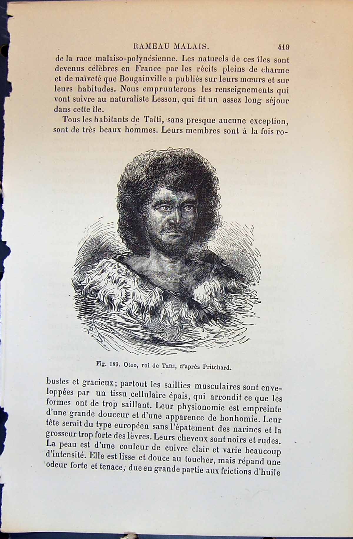 Old Otoo Roi Taiti D'Apres Pritchard 1880 Human Races Humaines Figuie Victorian