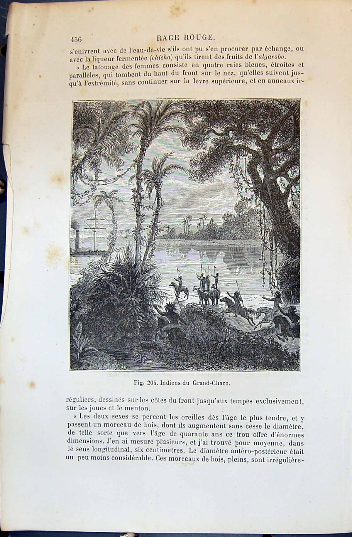 Old Indiens Grand-Chaco Indians Horses 1880 Human Races Humaines Figu Victorian