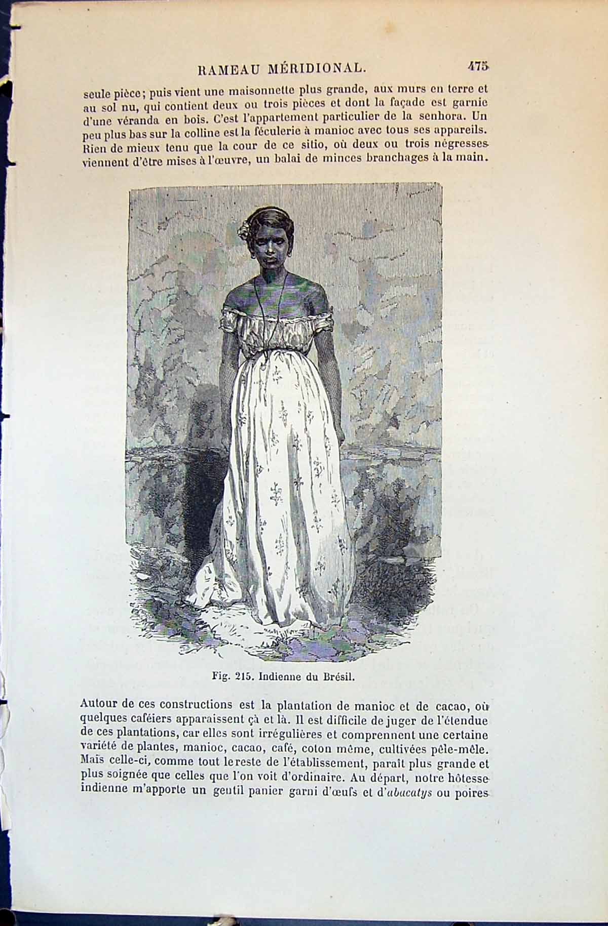 Old 1880 Human Races Humaines Figuier Indienne Du Bresil Beautiful Wo Victorian