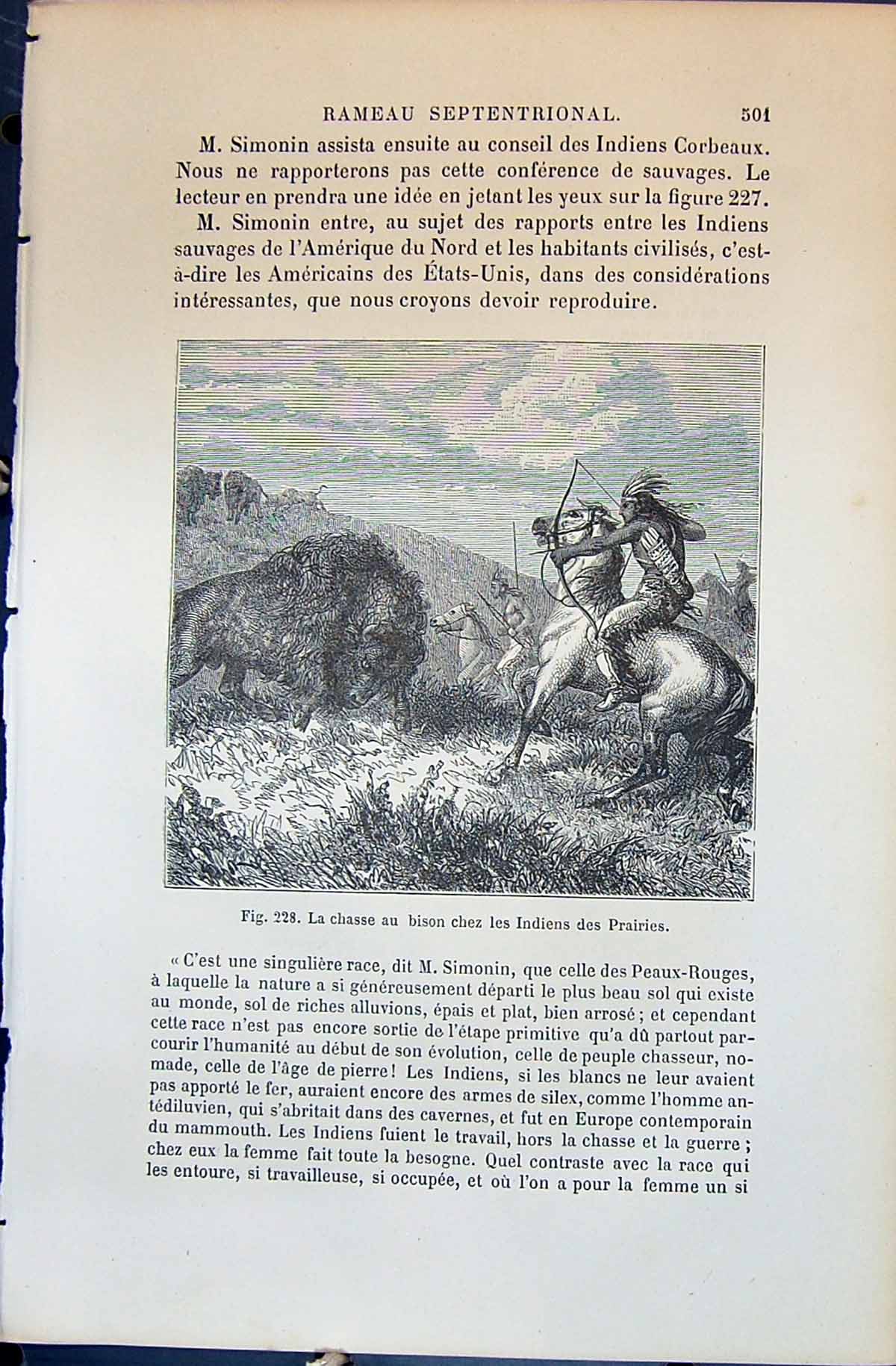 Old 1880 Human Races Humaines Figuier Chasse Bison Chez Indiens India Victorian