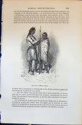 Old Print Indiens Nayas Indians People 1880 Human Races Humaines Figuier 19th