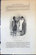 Old Print Indiens Tetes-Plates Indians 1880 Human Races Humaines Figuier 19th
