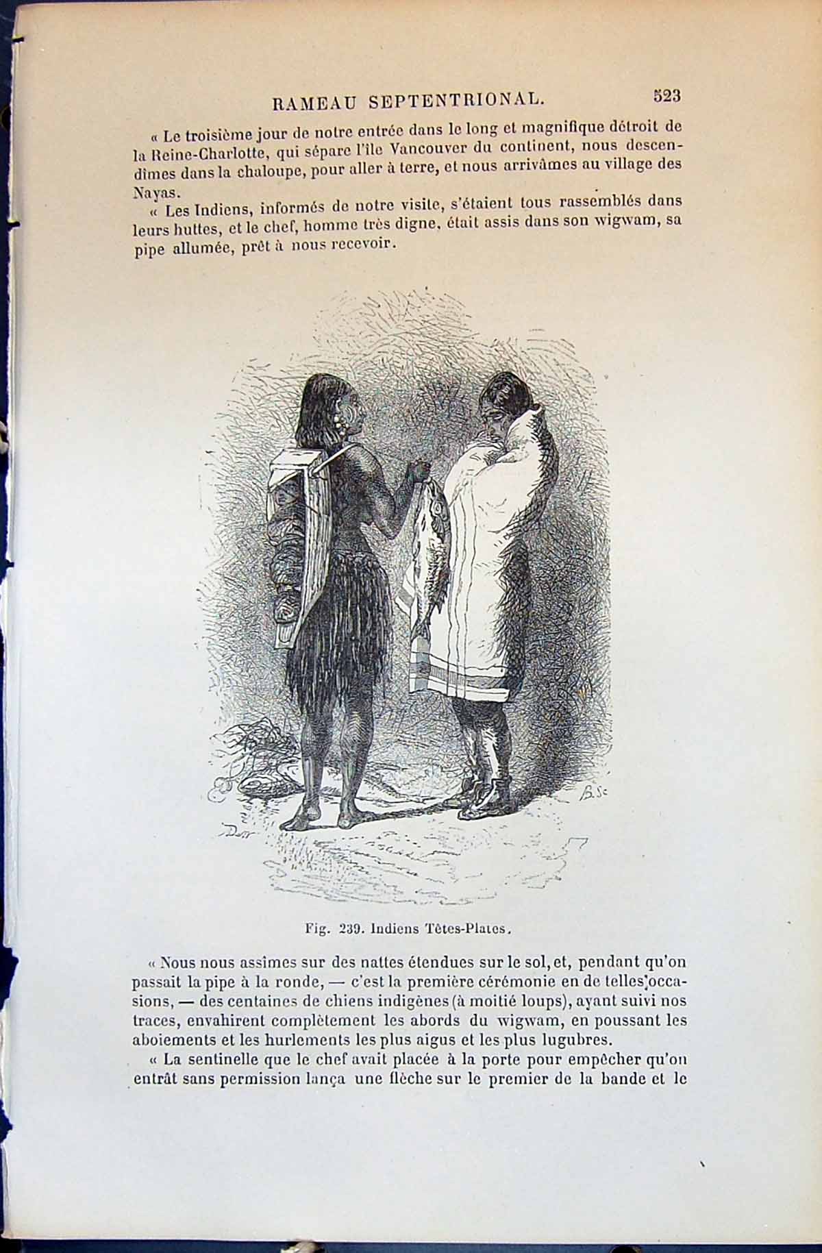 Old Print Indiens Tetes-Plates Indians 1880 Human Races Humaines Figuier 19th