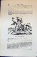 Old Cavalier Indien Sioux Indian Horse 1880 Human Races Humaines Figu Victorian