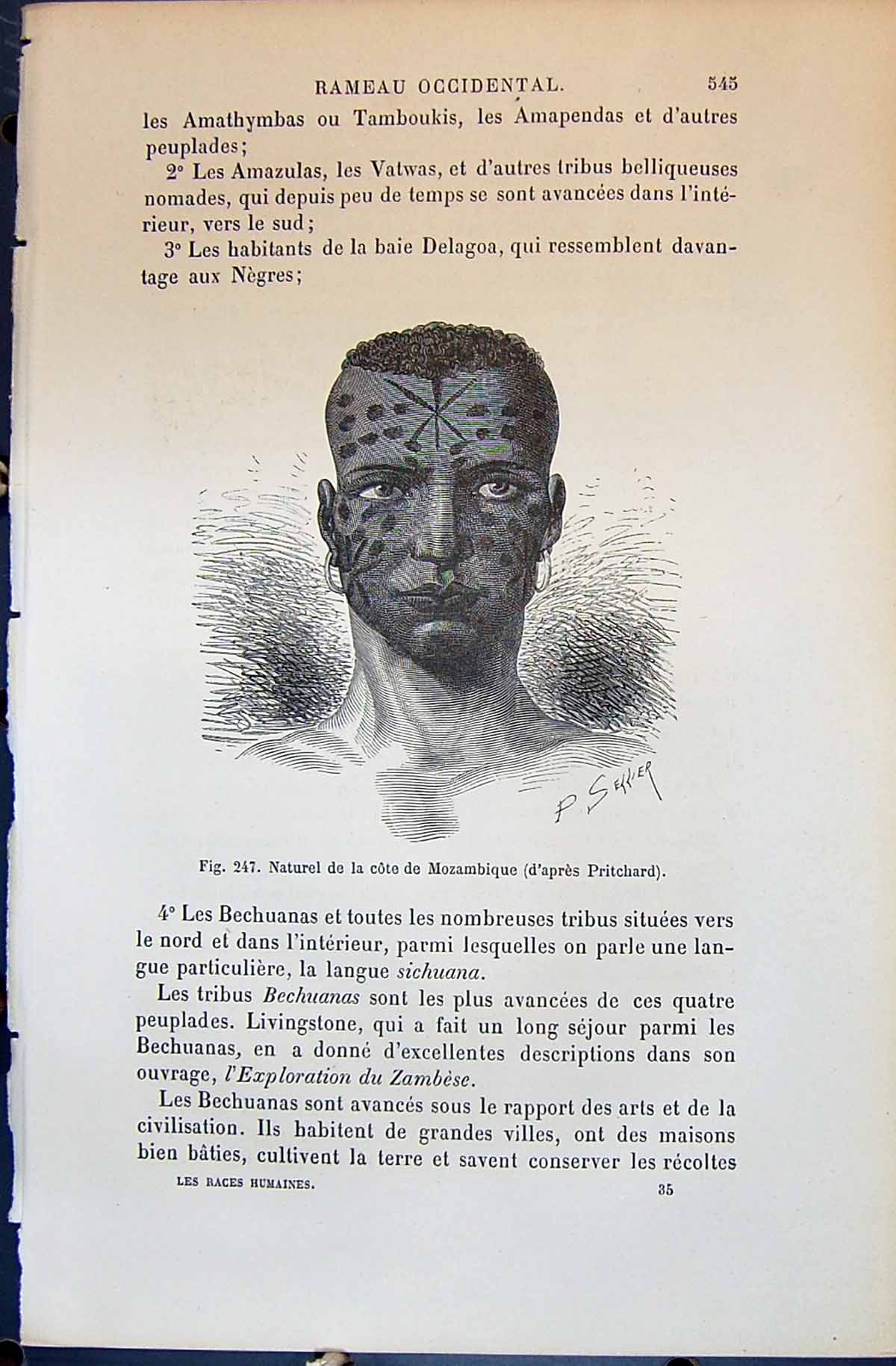 Old Naturel Cote Mozambique Pritchard Man 1880 Human Races Humaines F Victorian