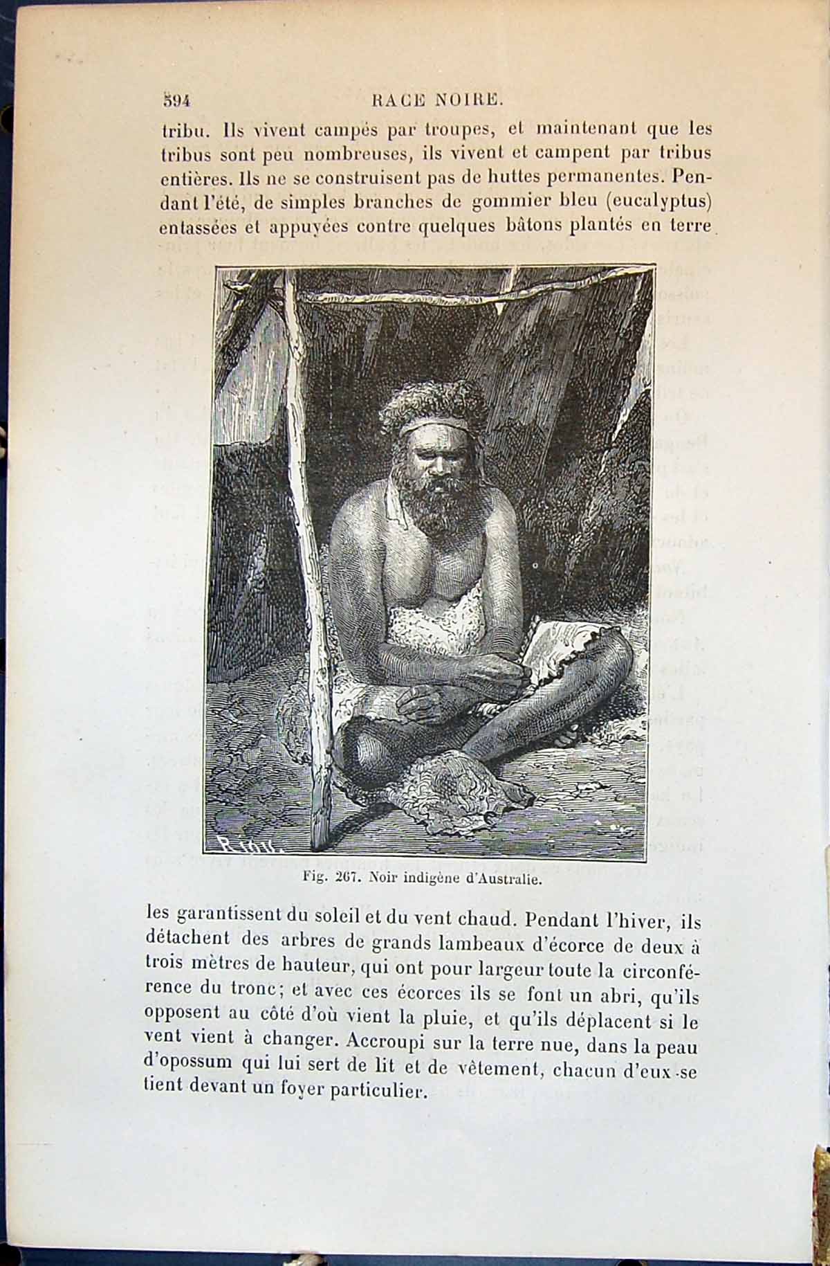 Old Noir Indigene D'Australie Australia Man 1880 Human Races Humaines Victorian