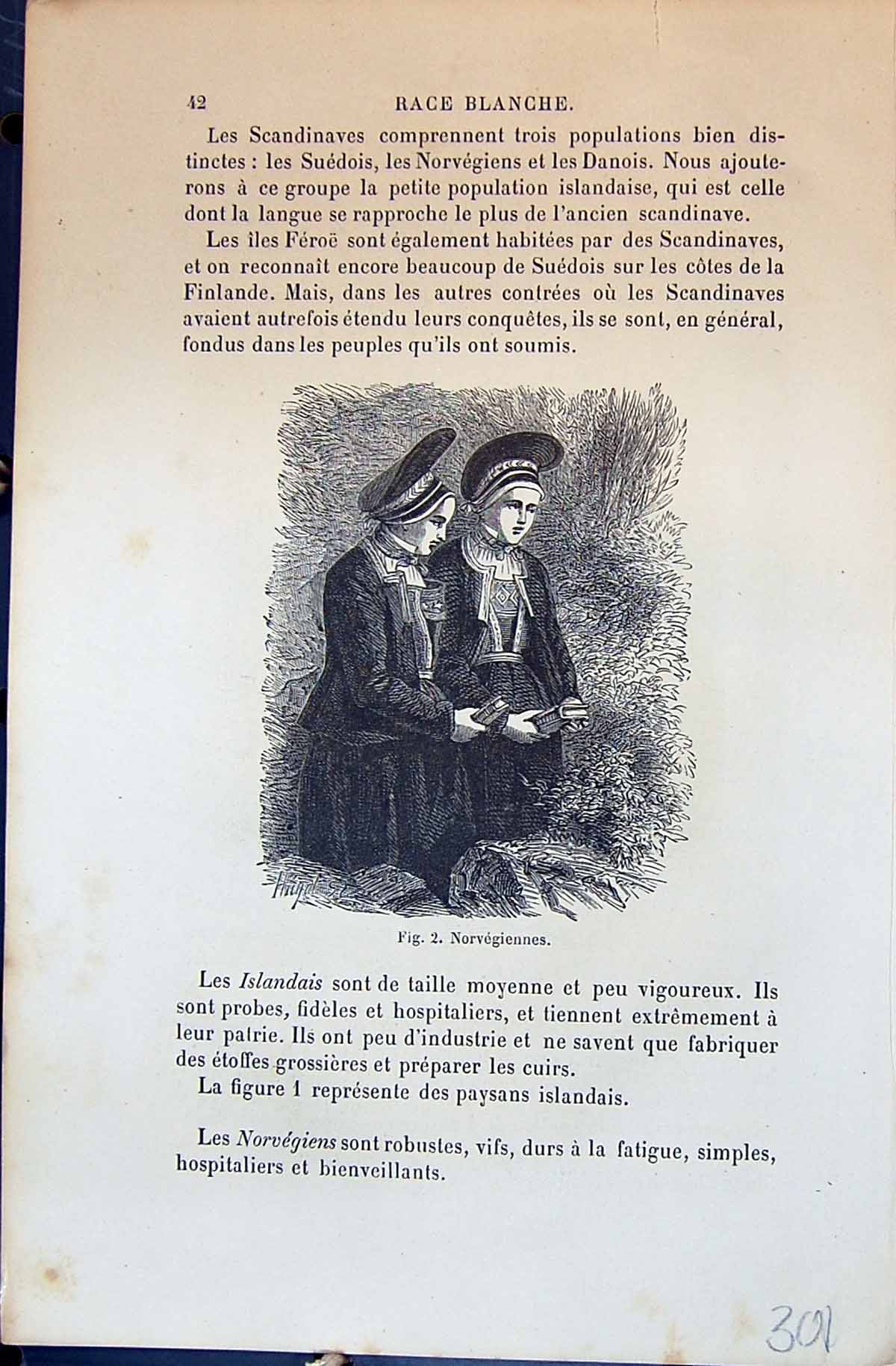 Old 1880 Human Races Humaines Figuier Norvegiennes Norway Women Paysa 19th