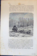 Old Attelage Chiens Chez Lapons Deer Snow Sledge 1880 Human Races Hum 19th
