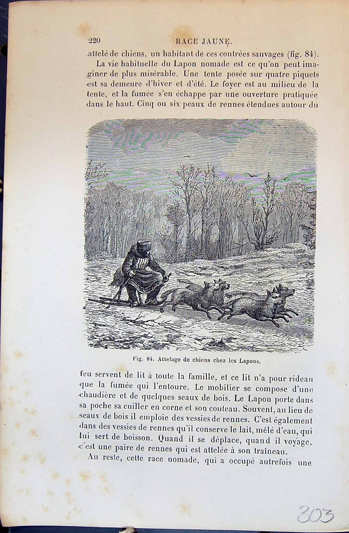 Old Attelage Chiens Chez Lapons Deer Snow Sledge 1880 Human Races Hum 19th