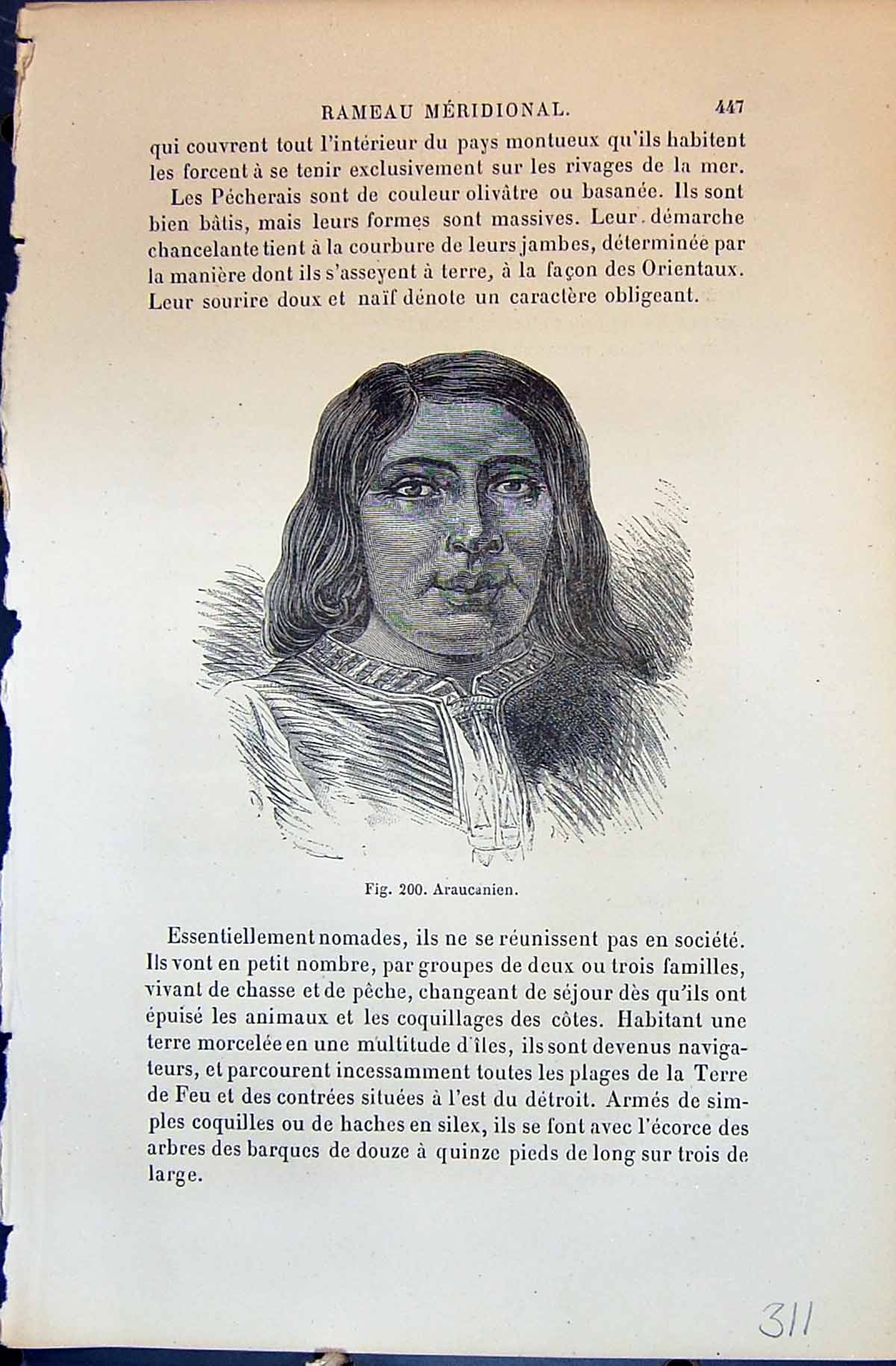 Old Araucanien Huttes D'Indiens Pecherais Indians 1880 Human Races Hu 19th