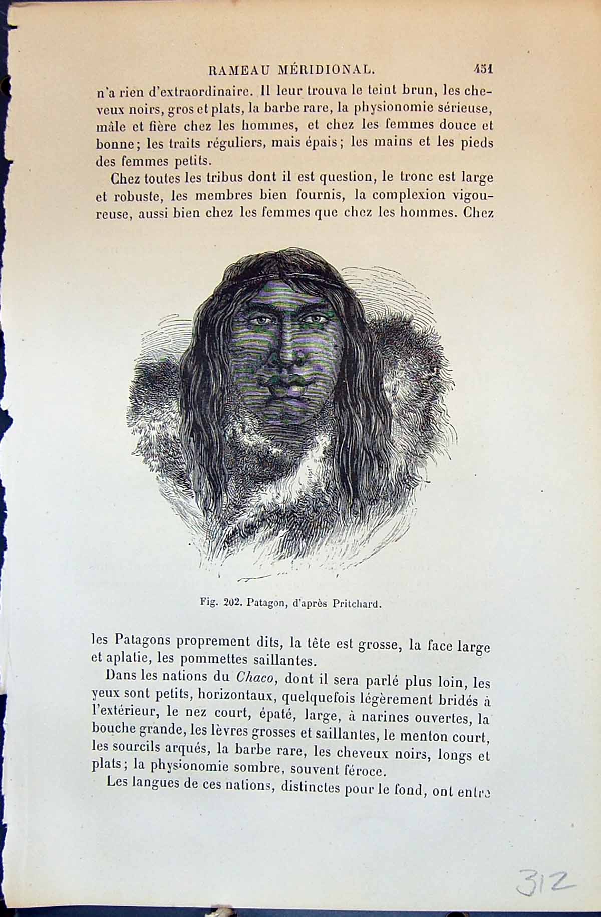Old Patagon D'Apres Pritchard Percement L'Oreille 1880 Human Races Hu 19th