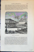 Old Case Bresilienne Indien Bresil Indian Man 1880 Human Races Humain 19th