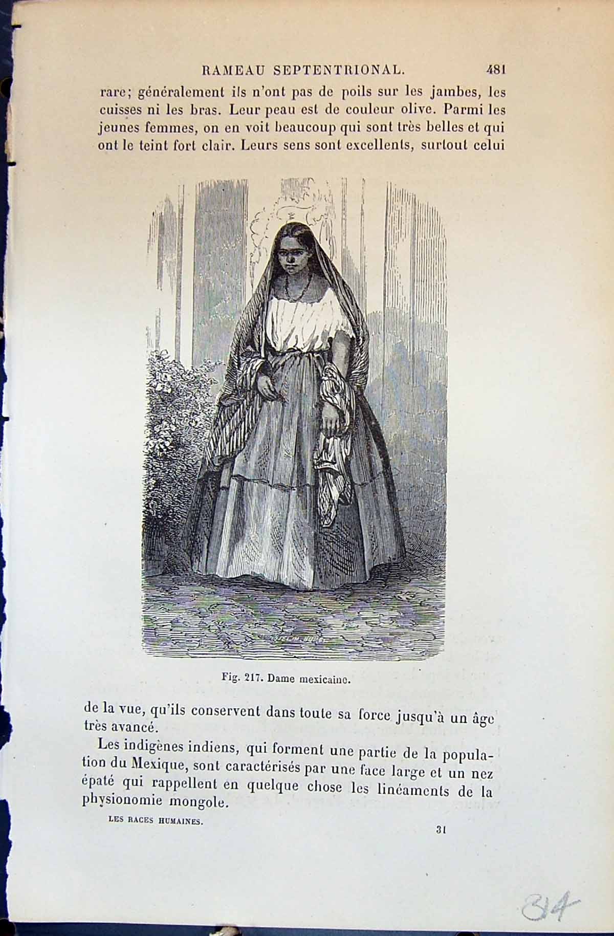 Old Dame Mexicaine Man Lady Mexico 1880 Human Races Humaines FiguierVictorian