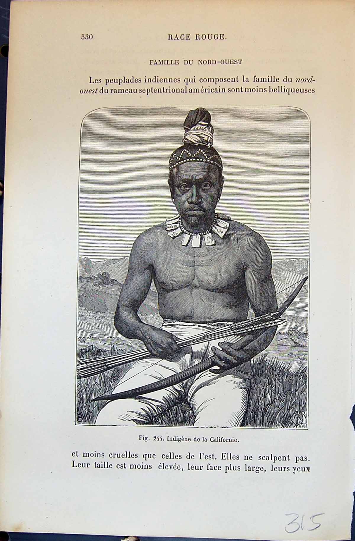 Old Indigene Californie America Indian Mandans 1880 Human Races Humai 19th