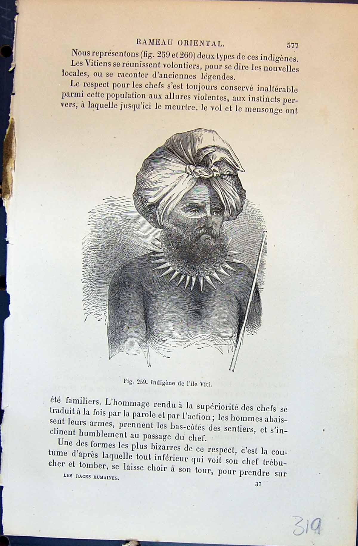Old Print Indigene L'Ile Viti Indians 1880 Human Races Humaines Figuier 19th