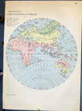 Old Johnston Map Useful Plants Grains North South America Atlantic Oc