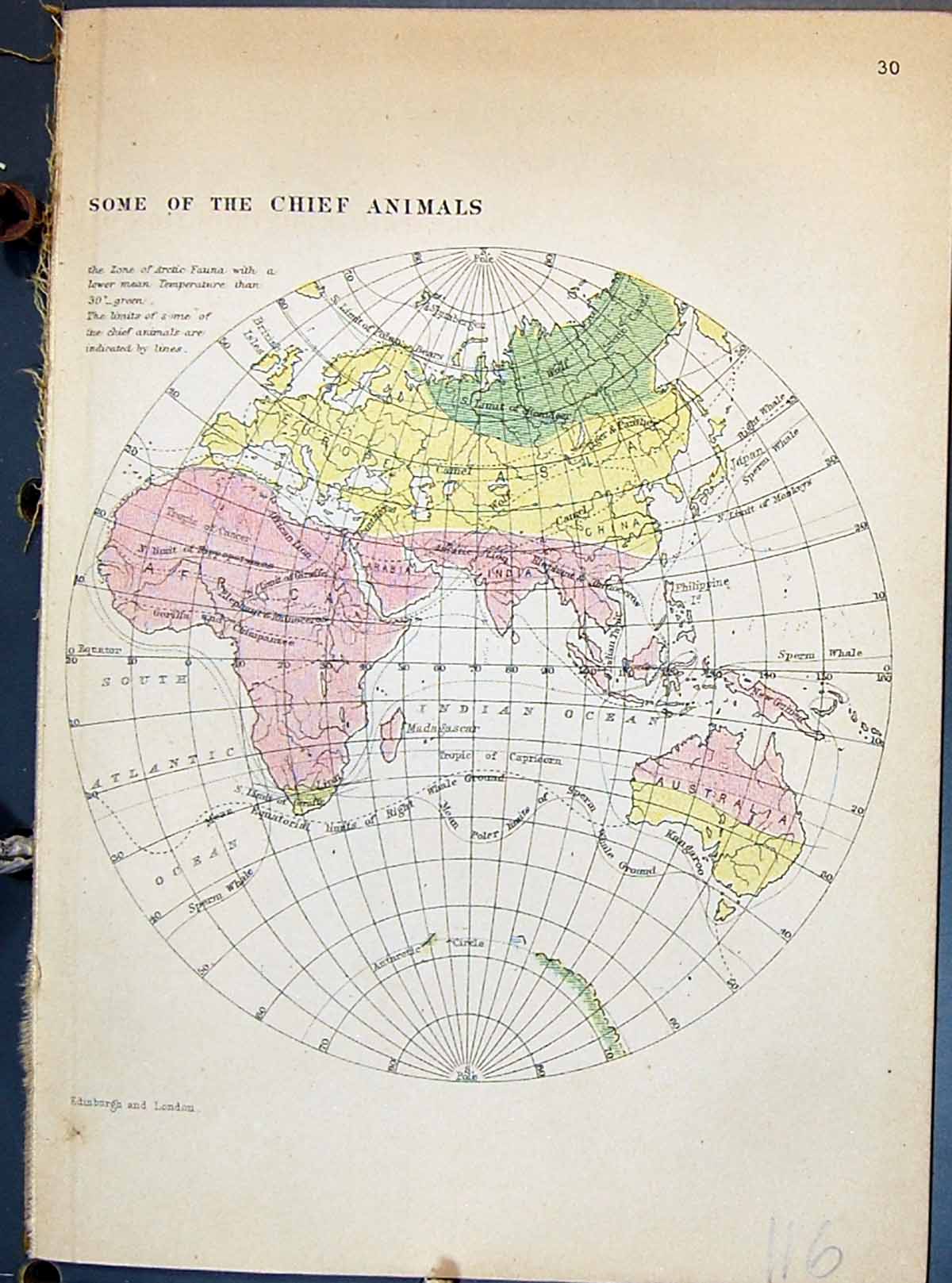 Antique Old Print Johnston Map Australia Africa Europe Varieties Man Latham