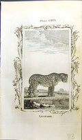 Original Old Antique Print Leopard Bell Buffon Natural History Animal 1791 18th