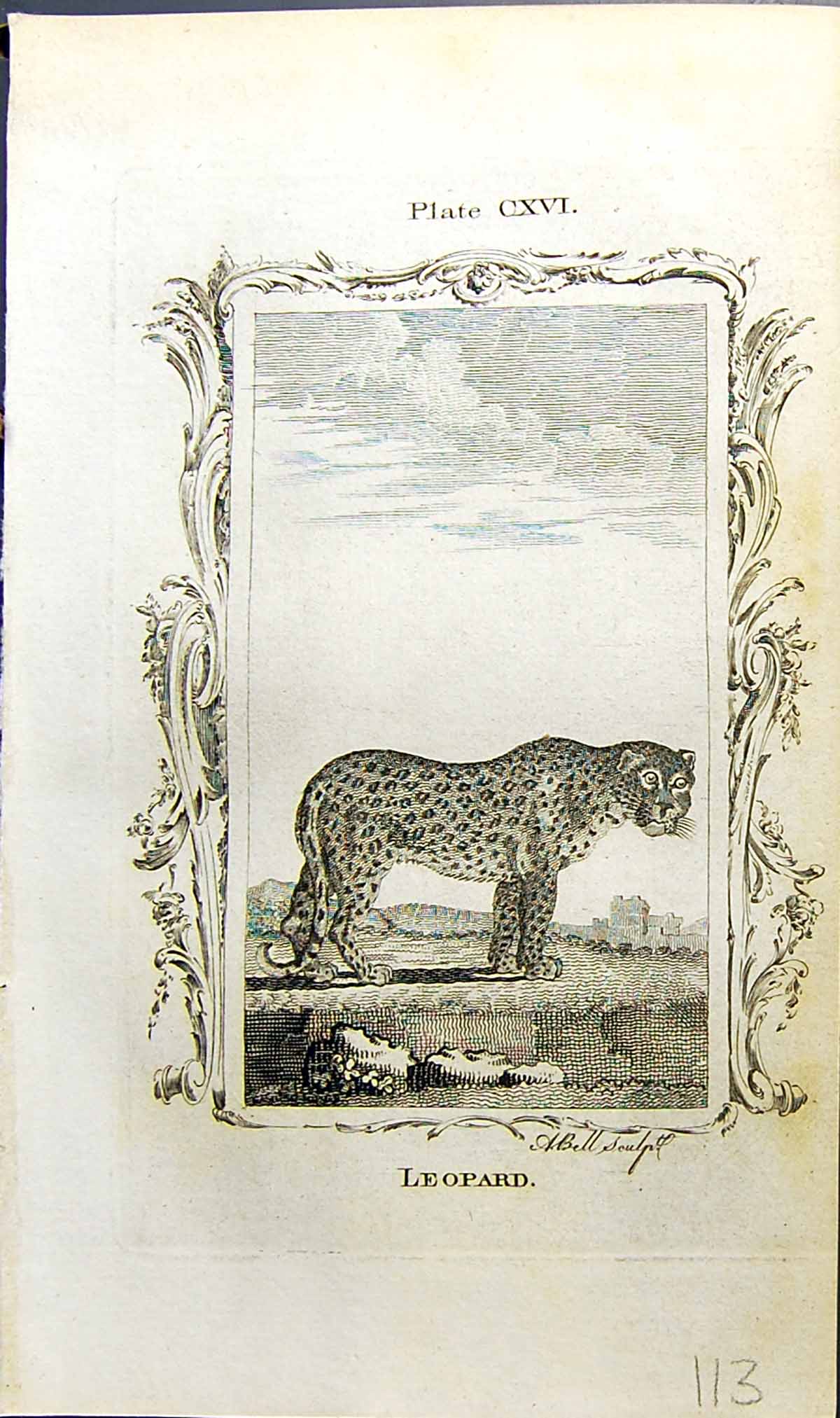 Original Old Antique Print Leopard Bell Buffon Natural History Animal 1791 18th