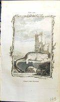 Old Antique Print Least Ant-Eater Bell Buffon Natural History Animal 1791 18th