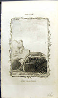 Antique Old Print Long Tailed Manis Bell Buffon Natural History Animal 1791