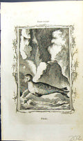 Original Old Antique Print Seal Bell Buffon Natural History Animal 1791 18th