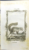 Original Old Antique Print Coquallin Bell Buffon Natural History Animal 1791