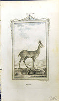 Original Old Antique Print Nagor Bell Buffon Natural History Animal 1791 18th