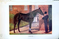 Old Print Badminton Magazine 1901 Colour Beautiful Horse Man Suit Top Hat 20th