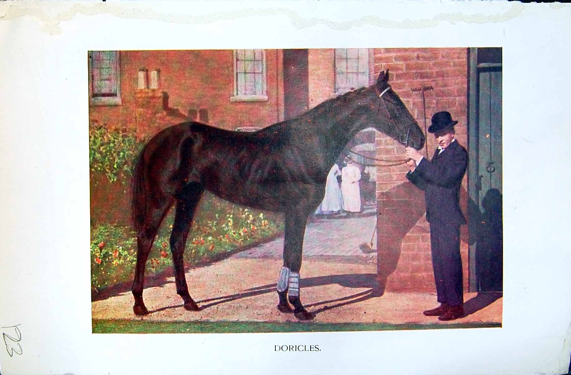 Old Print Badminton Magazine 1901 Colour Beautiful Horse Man Suit Top Hat 20th