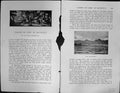 Old Badminton Magazine 1901 Port Louis Harbour Mauritius Chasse Party Victorian