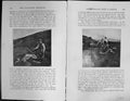 Old Badminton Magazine 1901 Deer Stalking Hunting Horses Huntsmen Pho Victorian