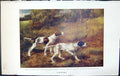 Original Old Antique Print Badminton Magazine 1901 Pointers Hunting Dogs Colour