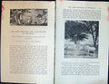 Old Badminton Magazine 1901 Big Game Shooting Rhodesia Wildesbeeste A Victorian