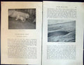 Old Badminton Magazine 1901 Hunting Ice-Bear Iceberg Musk Oxen Bear A Victorian
