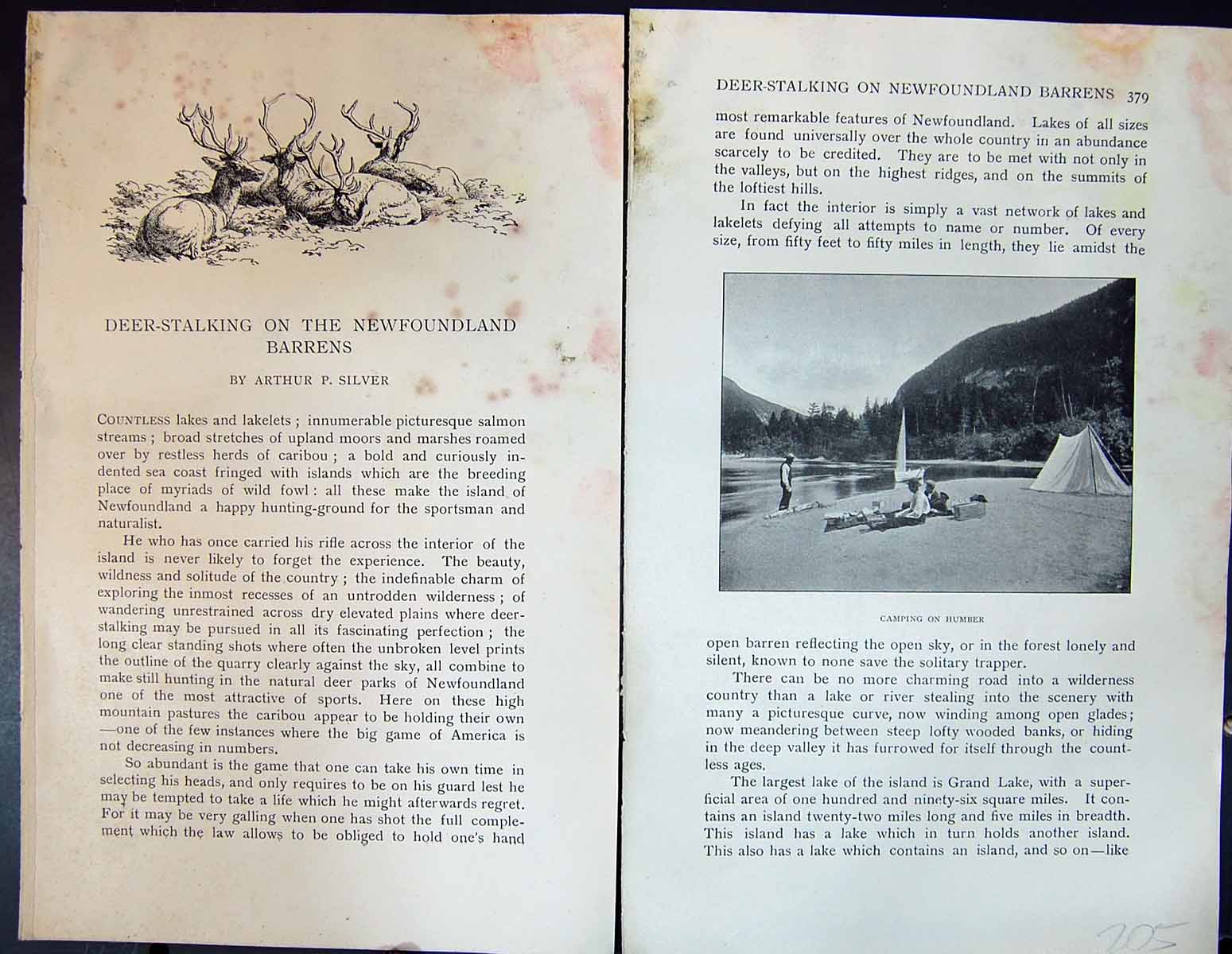 Old Badminton Magazine 1901 Deer Stalking Hunting Newfoundland Barren Victorian